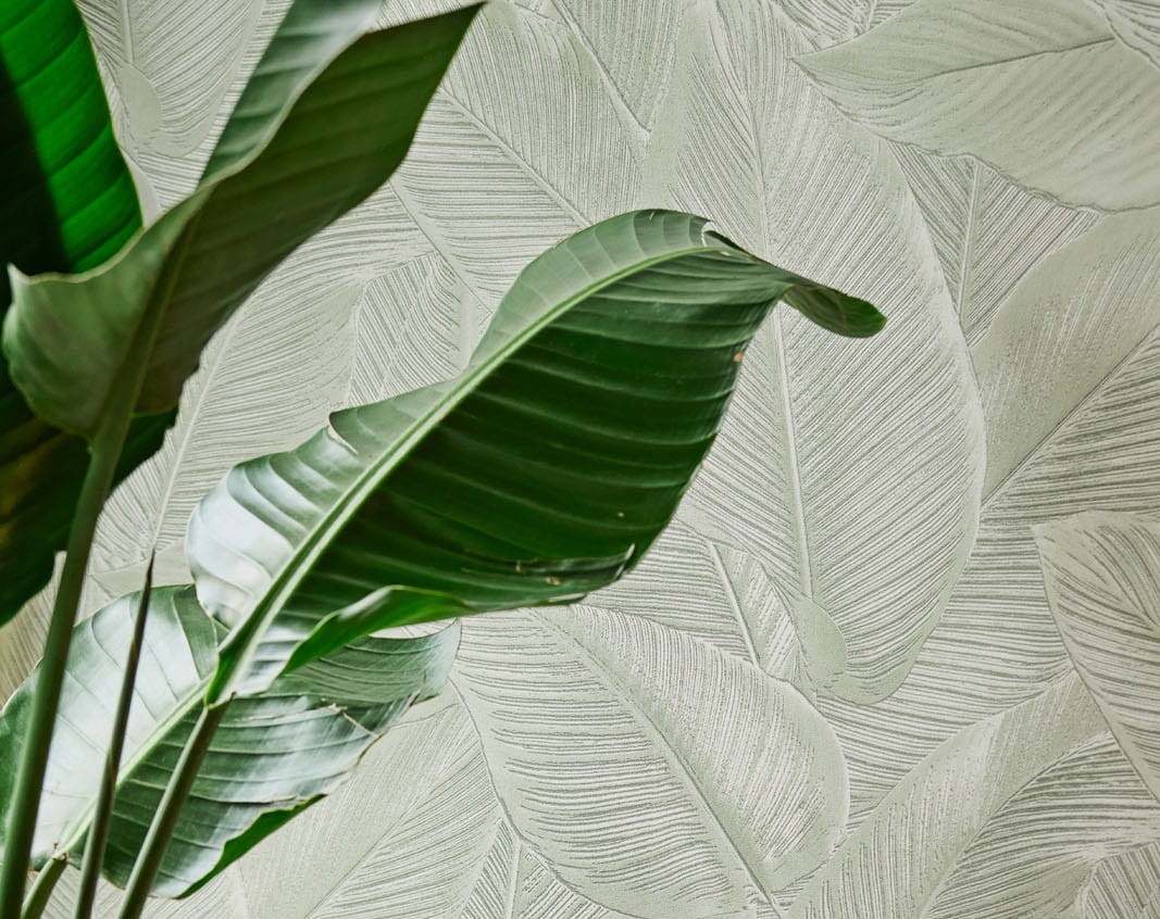 BN Riviera Maison 221174 Palms - tapeta w liście palmy