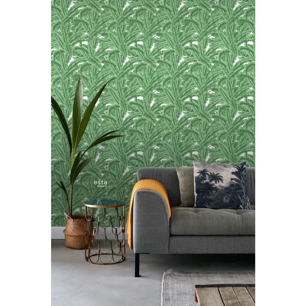 Esta 138984 Paradise - tapeta w zielone liście bananowca