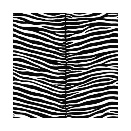 Esta 136807 Paradise - biało-czarna tapeta zebra