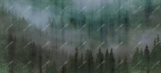 Inkiostro Bianco INKUNDC1504 Wall in Love Again Capsule Mist  - mural z mglistym lasem