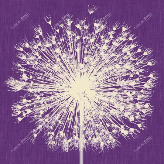 Inkiostro Bianco INKNNLM1404 Wall in Love Again Capsule Breath - mural z dmuchawcem