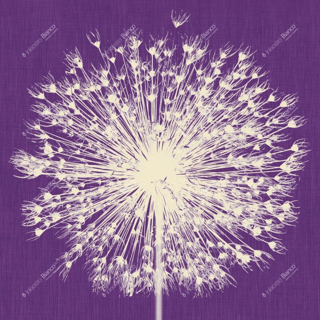 Inkiostro Bianco INKNNLM1404 Wall in Love Again Capsule Breath - mural z dmuchawcem