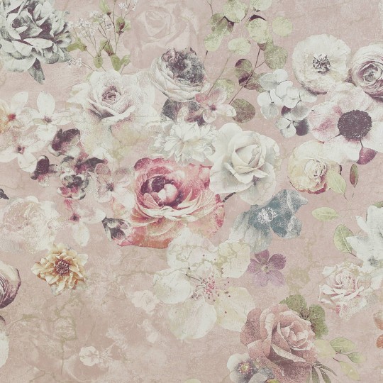 Jane Churchill J8004-03 Atmosphere IV Marble Rose - tapeta z motywem róż na starej ścianie