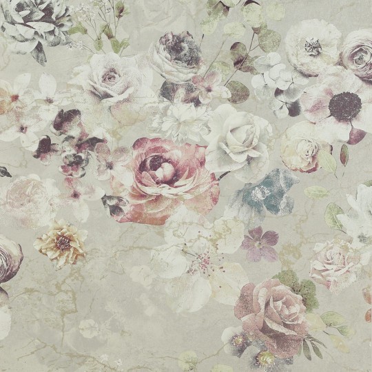 Jane Churchill J8004-05 Atmosphere IV Marble Rose - tapeta z motywem róż na starej ścianie