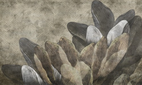 dab4e5595afb69ccd5c62a87f3d1932f