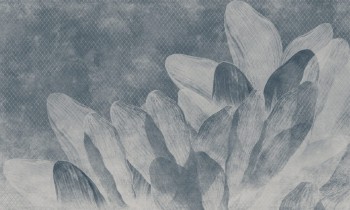 9586727affbed226903c70399e16092d
