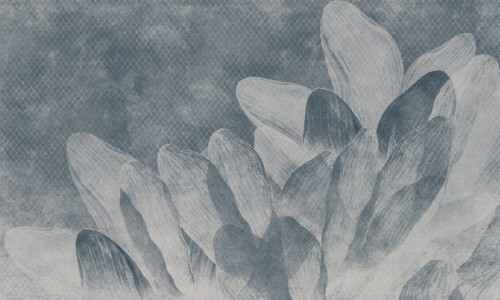 9586727affbed226903c70399e16092d
