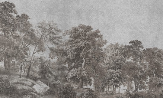 Dekorami Woodland - mural las