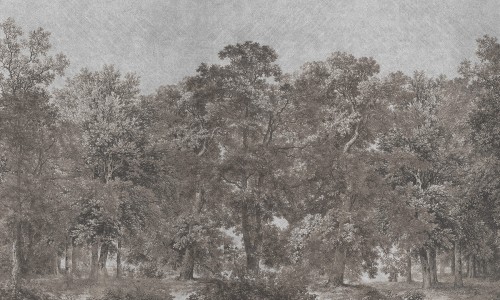 4e52038c109c304dca8dfb5f69189ee7