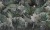 ba16dba1928d4cb38c1d964809cbbcb8