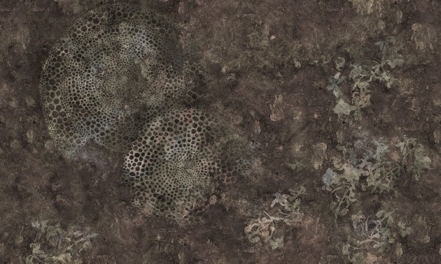 Dekorami Abyss Shell Stone - mural podwodny świat