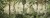 22c44cc55e9ad8d97466ed45fc71c563