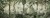 cf54b5e1a976cbd3cf41f02a32da9d28