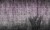 edf99a2012234554306b68660e9f482c