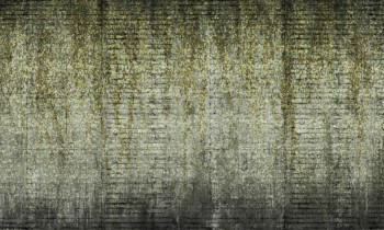 4611d0301a5b0519b4c135d6eba3fa21