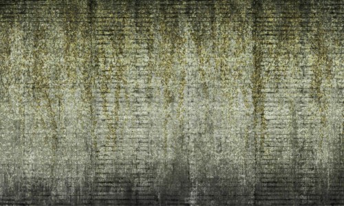 4611d0301a5b0519b4c135d6eba3fa21