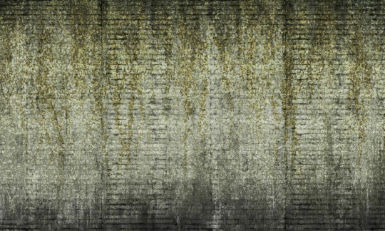 Dekorami Fuji Wall Golden-Green - mural z bluszczem