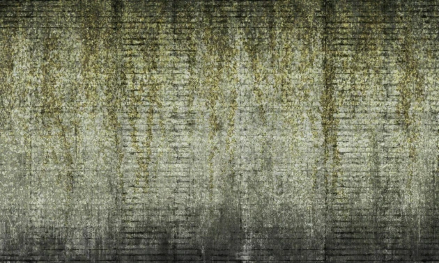 Dekorami Fuji Wall Golden-Green - mural z bluszczem