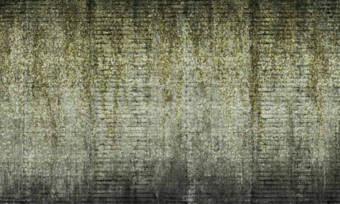 4611d0301a5b0519b4c135d6eba3fa21
