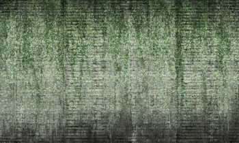 eff909ee5a6ec99f7c799d51a0d5520a