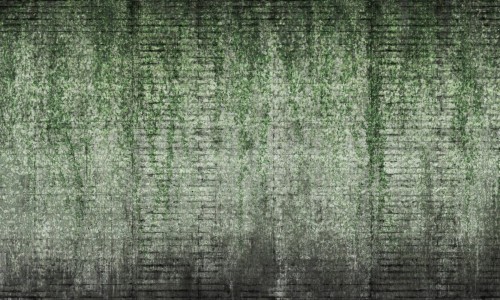 eff909ee5a6ec99f7c799d51a0d5520a