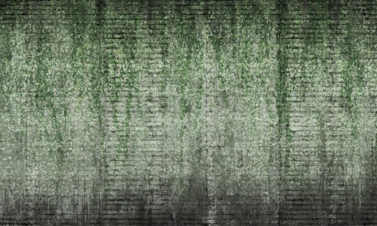 Dekorami Fuji Wall Green - mural z bluszczem