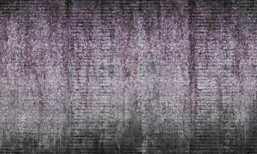 b68eb6ea7f0c7bd69ddf0ac9bd976d9d