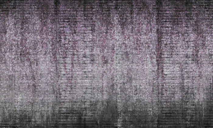 b68eb6ea7f0c7bd69ddf0ac9bd976d9d