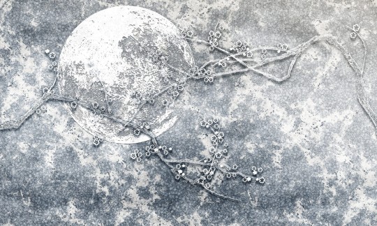 Dekorami Full Moon Sky - mural z księżycem
