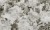 d46859a6e8bdb3a67a1aa181a1e39d0a
