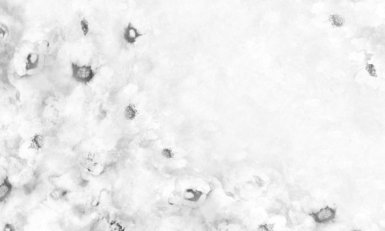 Dekorami Heavan White - mural w kwiaty