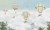 3c3c97a11cd467bd780f85e9d8af2b50