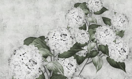 Dekorami Hortensia Verde - mural w hortensje