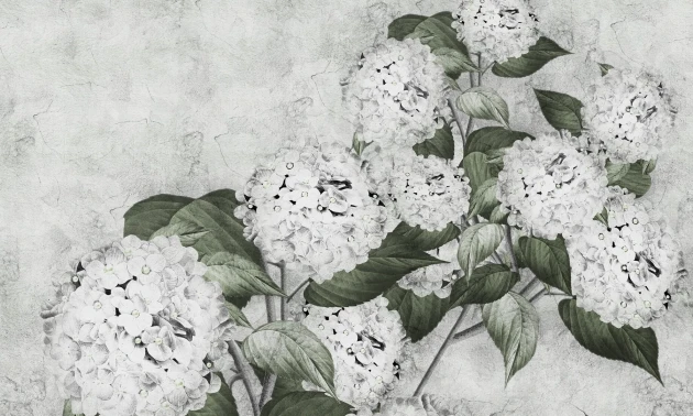 Dekorami Hortensia Verde - mural w hortensje
