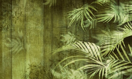 c4fcc0dc2fdc141467cea45672b7c64a