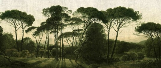 Dekorami Italian Pines Sandy - mural z drzewami