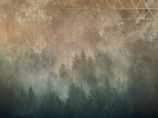 Dekorami La Veduta Forestale Copper - mural z lasem