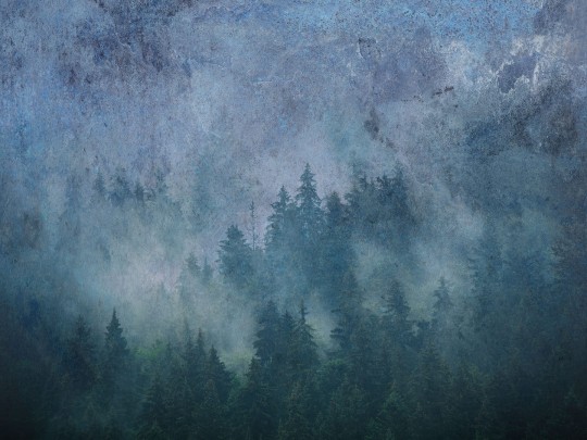 Dekorami La Veduta Forestale Blu - mural z lasem