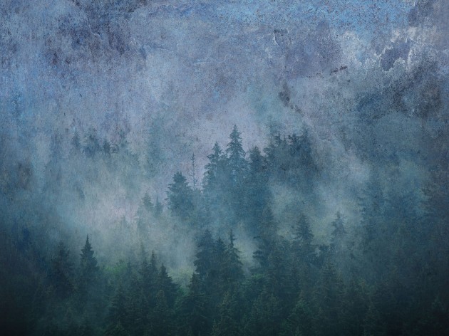 Dekorami La Veduta Forestale Blu - mural z lasem