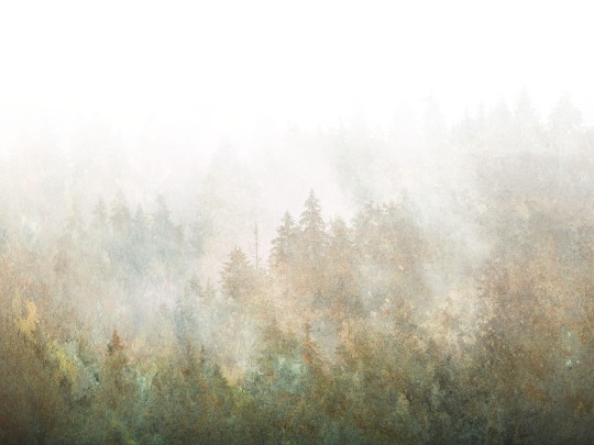 Dekorami La Veduta Forestale - mural z lasem