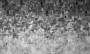 b4813a2f3976fd247dbd485a697755bd
