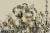 9d1b8936c58d64c36909bc8acc7fbee5