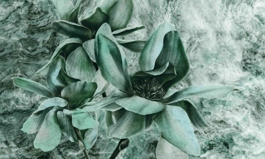 Dekorami Look At Me Nephrite - mural w kwiaty