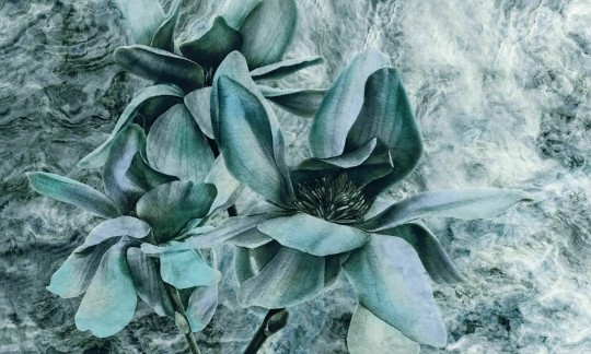 Dekorami Look At Me Turquoise - mural w kwiaty