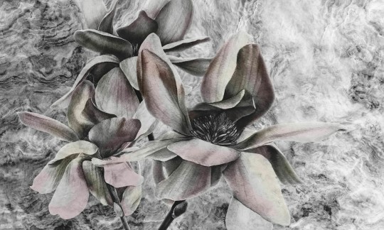 Dekorami Look At Me Rose Cold - mural w kwiaty