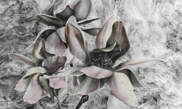 Dekorami Look At Me Rose Cold - mural w kwiaty