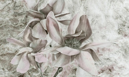 Dekorami Look At Me Rose Warm - mural w kwiaty