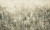 e5640d675a3187089a8da4034752d2bc
