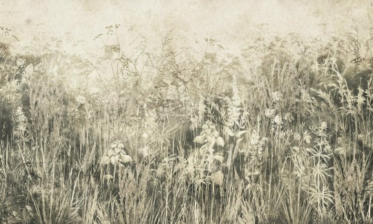 Dekorami Midsummer 1 - mural z łąką