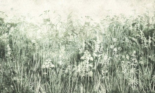 Dekorami Midsummer 2 - mural z łąką